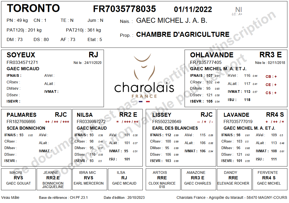 genealogie taureau charolais TORONTO