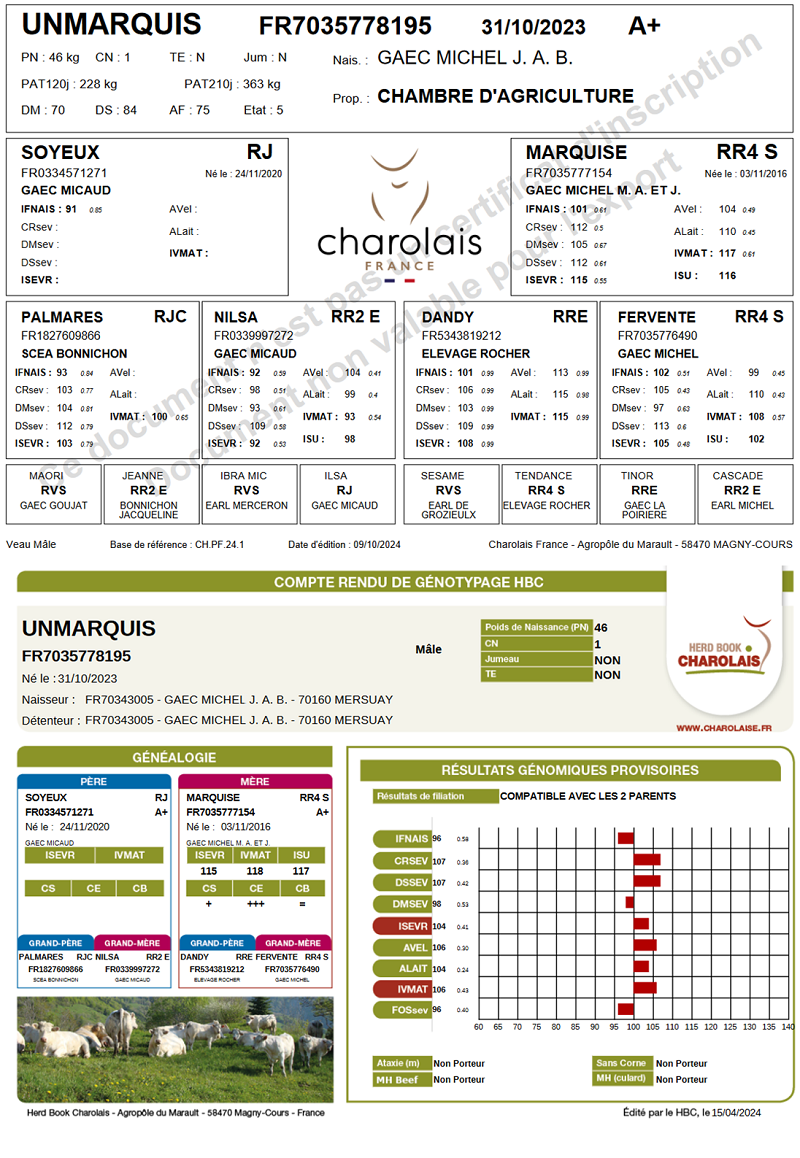 genealogie taureau charolais UNMARQUIS