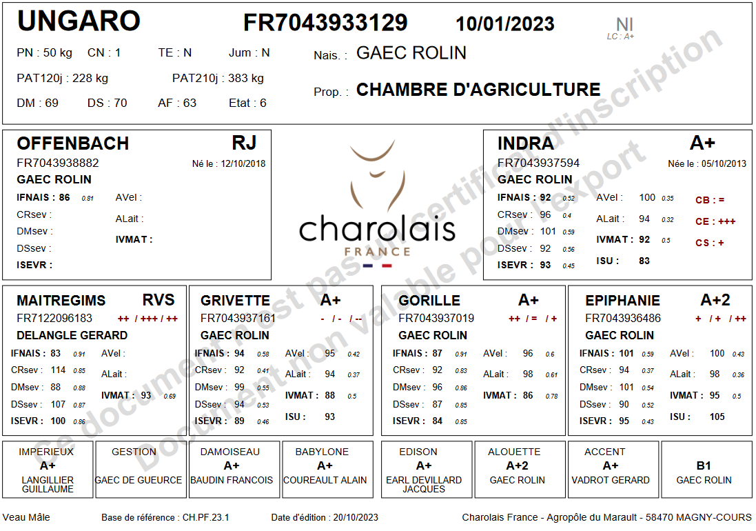 genealogie taureau charolais UNGARO