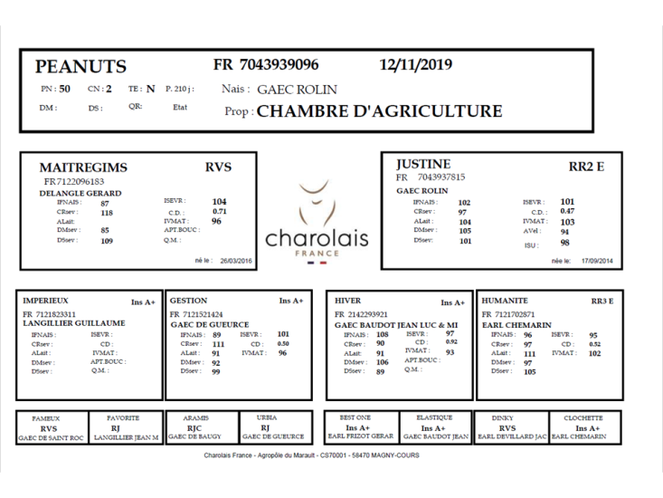 genealogie taureau charolais PEANUTS