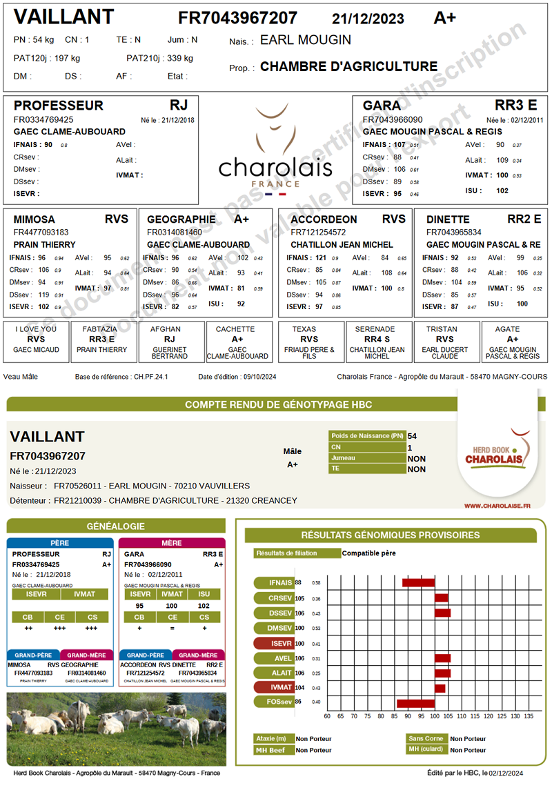 genealogie taureau charolais VAILLANT