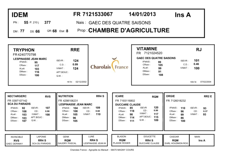 genealogie taureau charolais IDEM