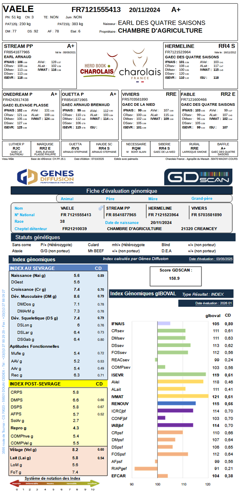 genealogie taureau charolais VAELE