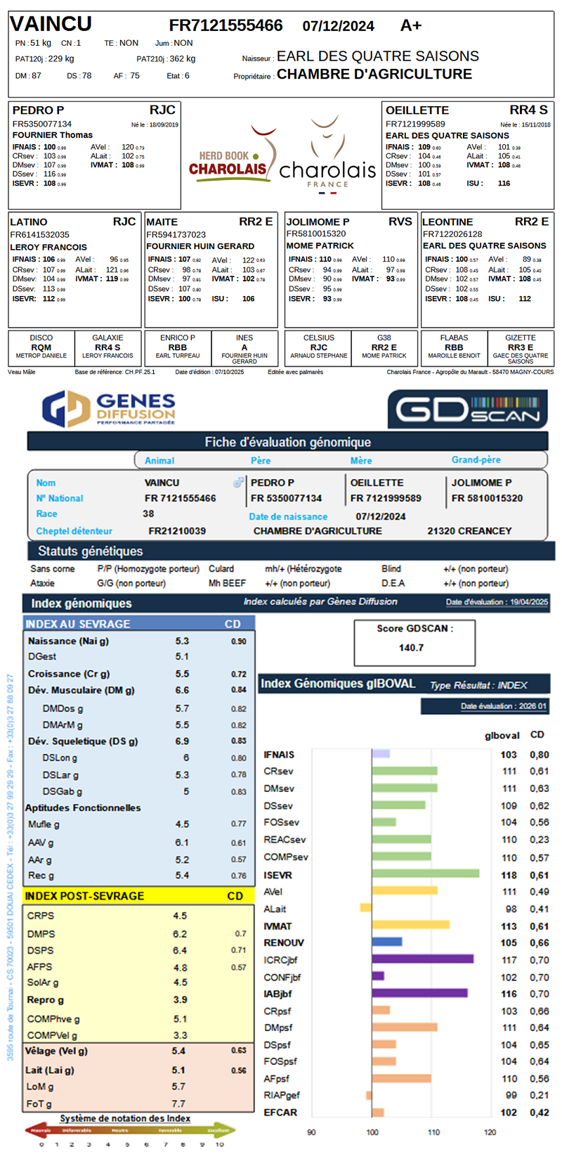 genealogie taureau charolais VAINCU