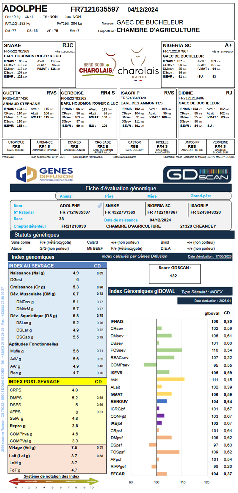 genealogie taureau charolais ADOLPHE