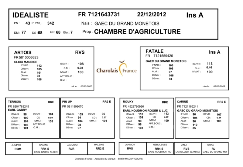 genealogie taureau charolais IDEALISTE