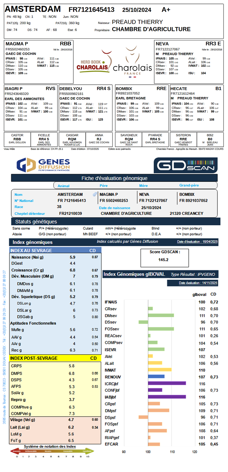 genealogie taureau charolais AMSTERDAM