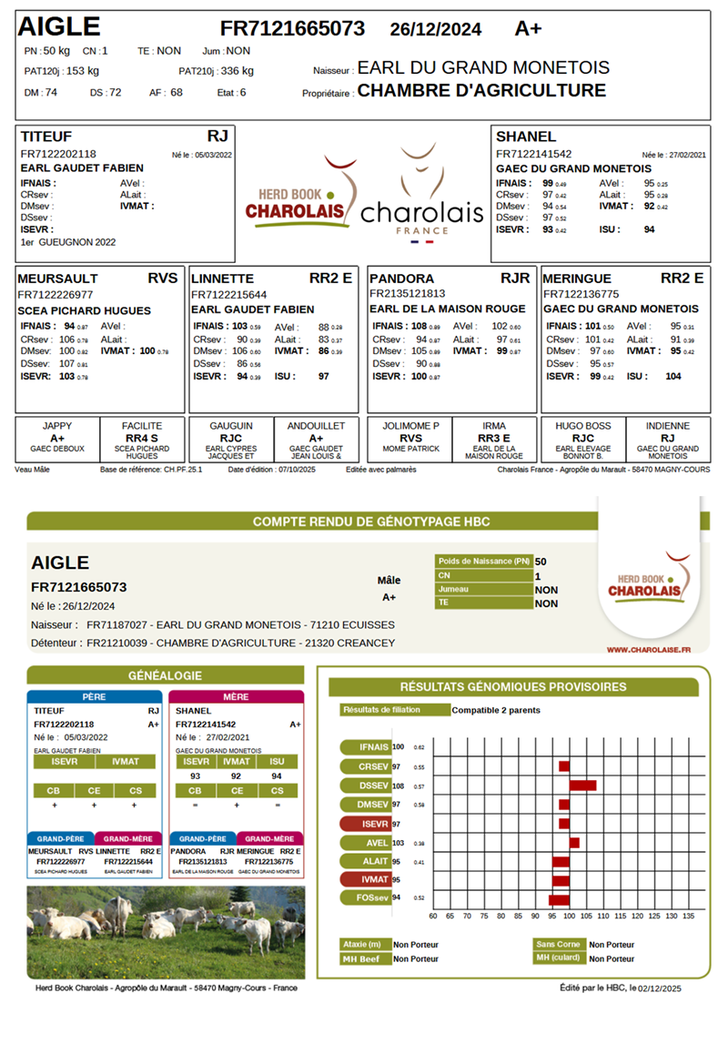 genealogie taureau charolais AIGLE