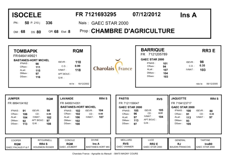 genealogie taureau charolais ISOCELE