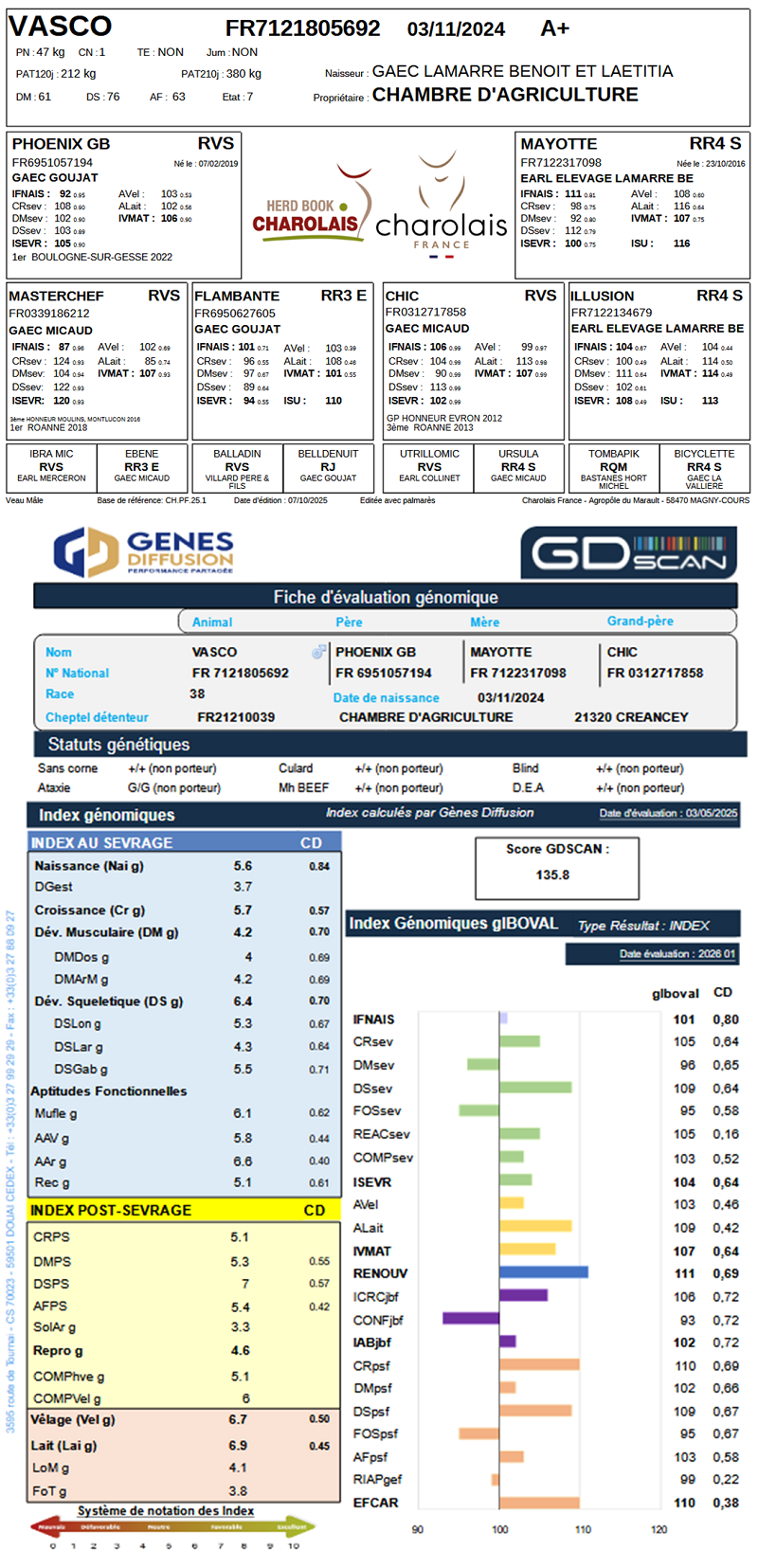 genealogie taureau charolais VASCO