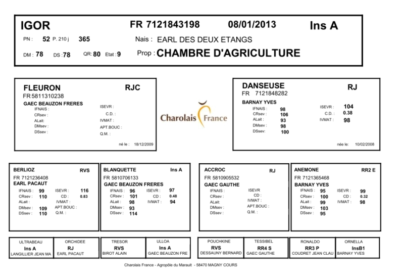 genealogie taureau charolais IGOR