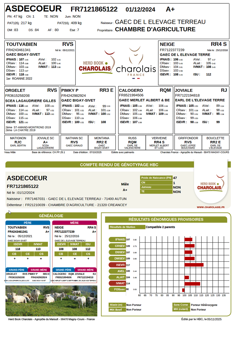 genealogie taureau charolais ASDECOEUR