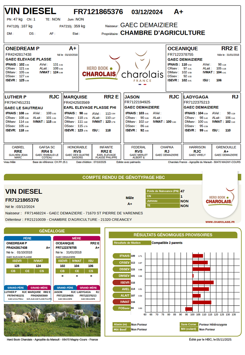 genealogie taureau charolais VIN DIESEL