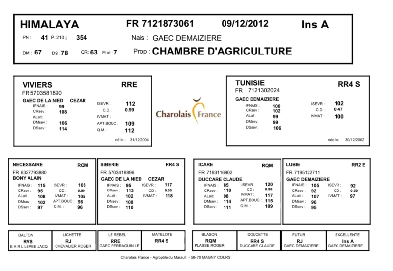 genealogie taureau charolais HIMALAYA