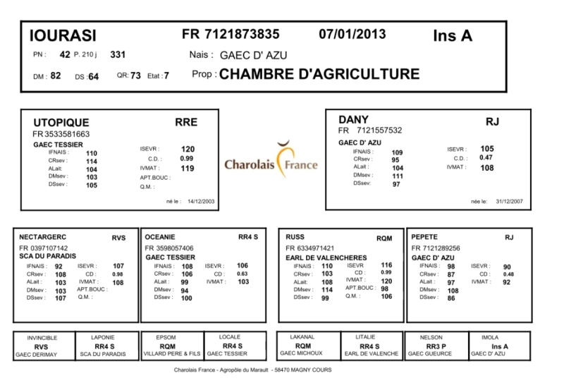 genealogie taureau charolais IOURASI