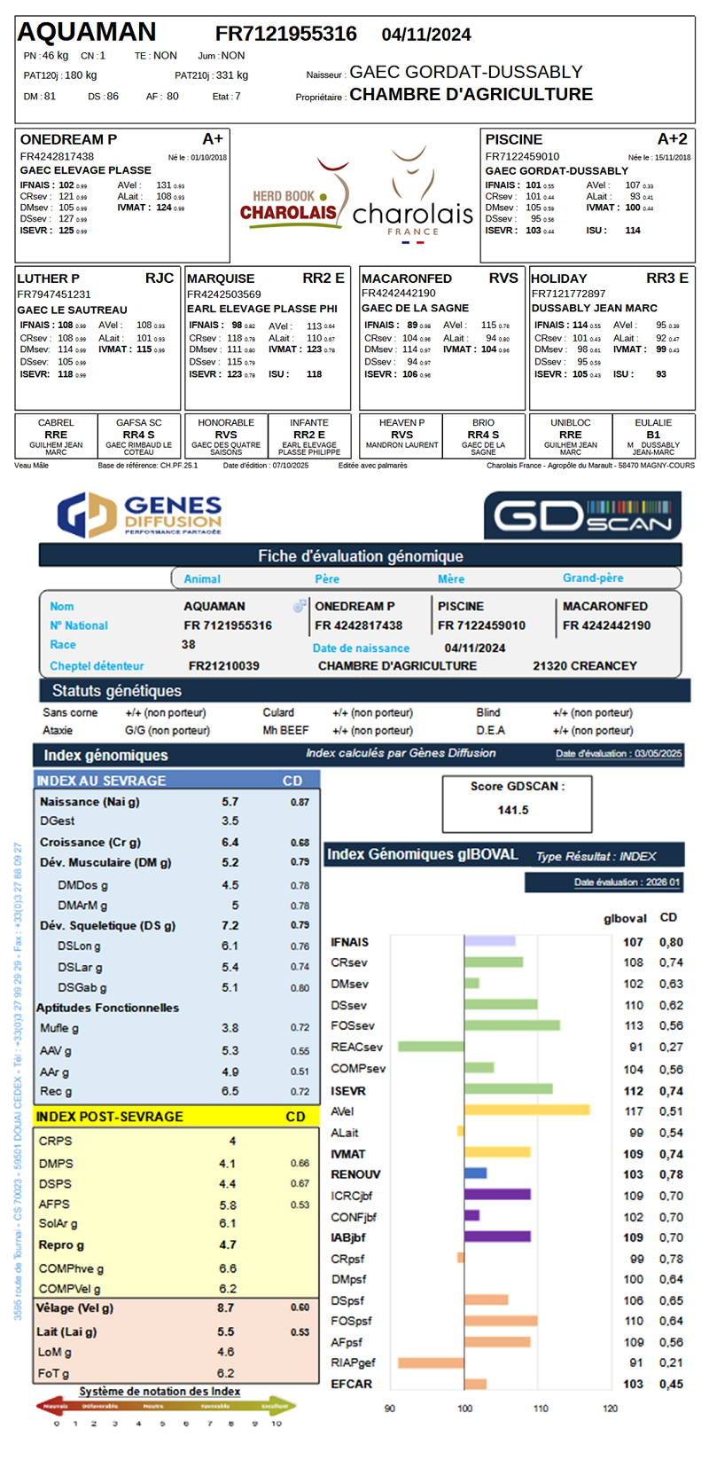 genealogie taureau charolais AQUAMAN