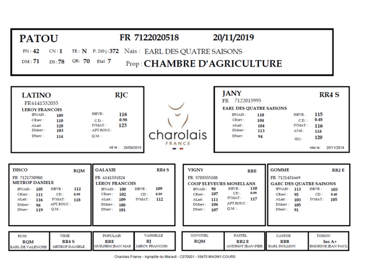 genealogie taureau charolais PATOU