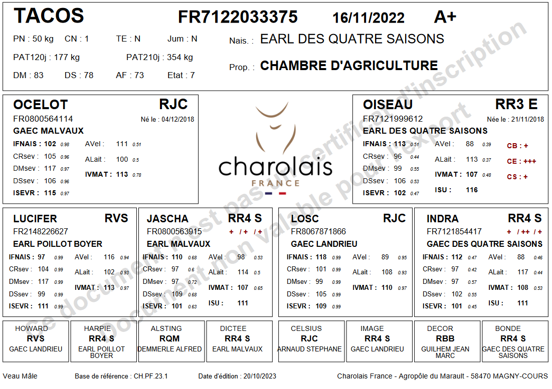 genealogie taureau charolais TACOS