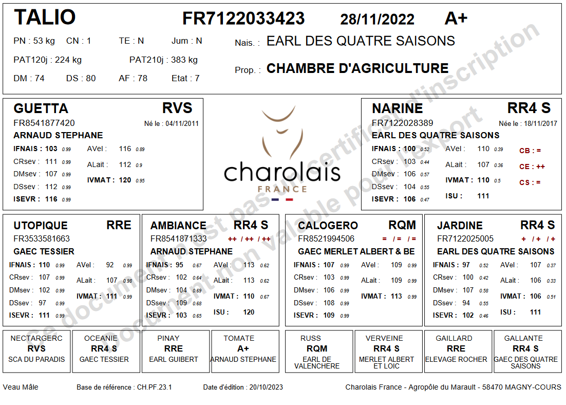 genealogie taureau charolais TALIO