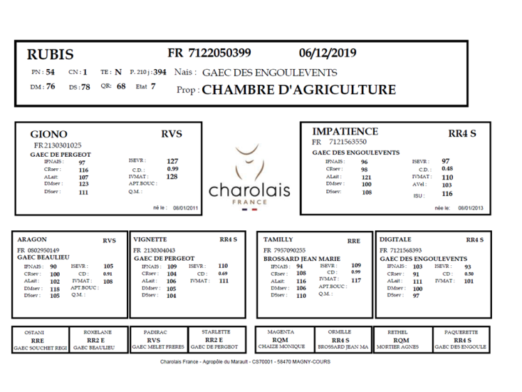 genealogie taureau charolais RUBIS