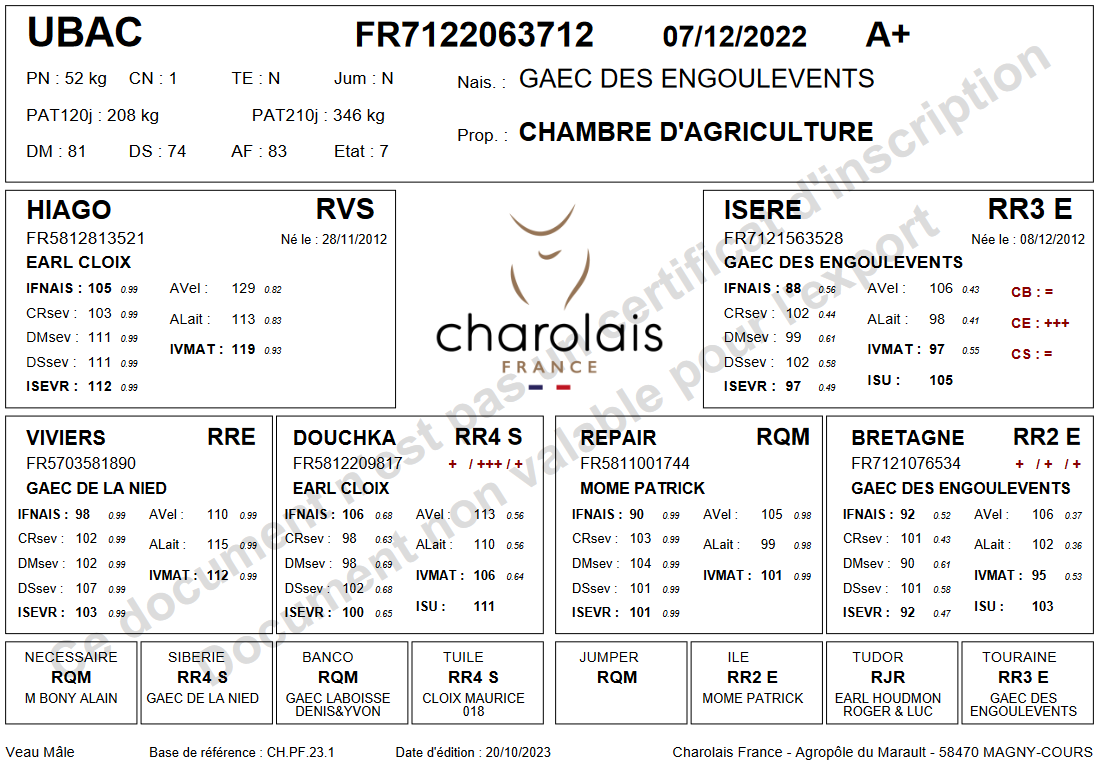 genealogie taureau charolais UBAC
