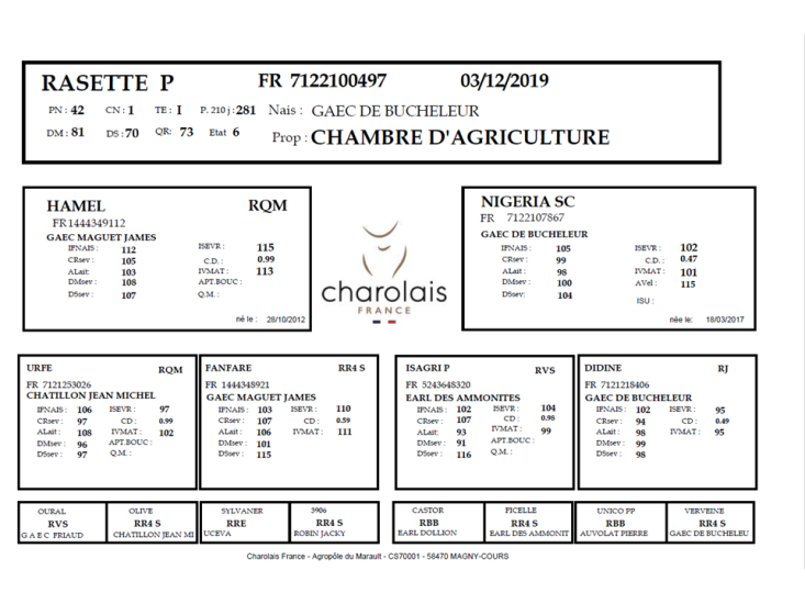 genealogie taureau charolais RESET P