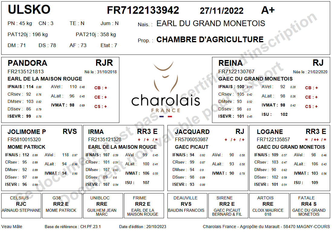 genealogie taureau charolais ULSKO