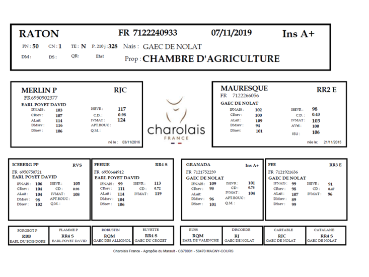genealogie taureau charolais RATON