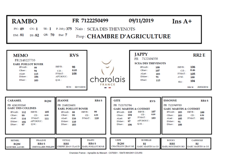 genealogie taureau charolais RAMBO