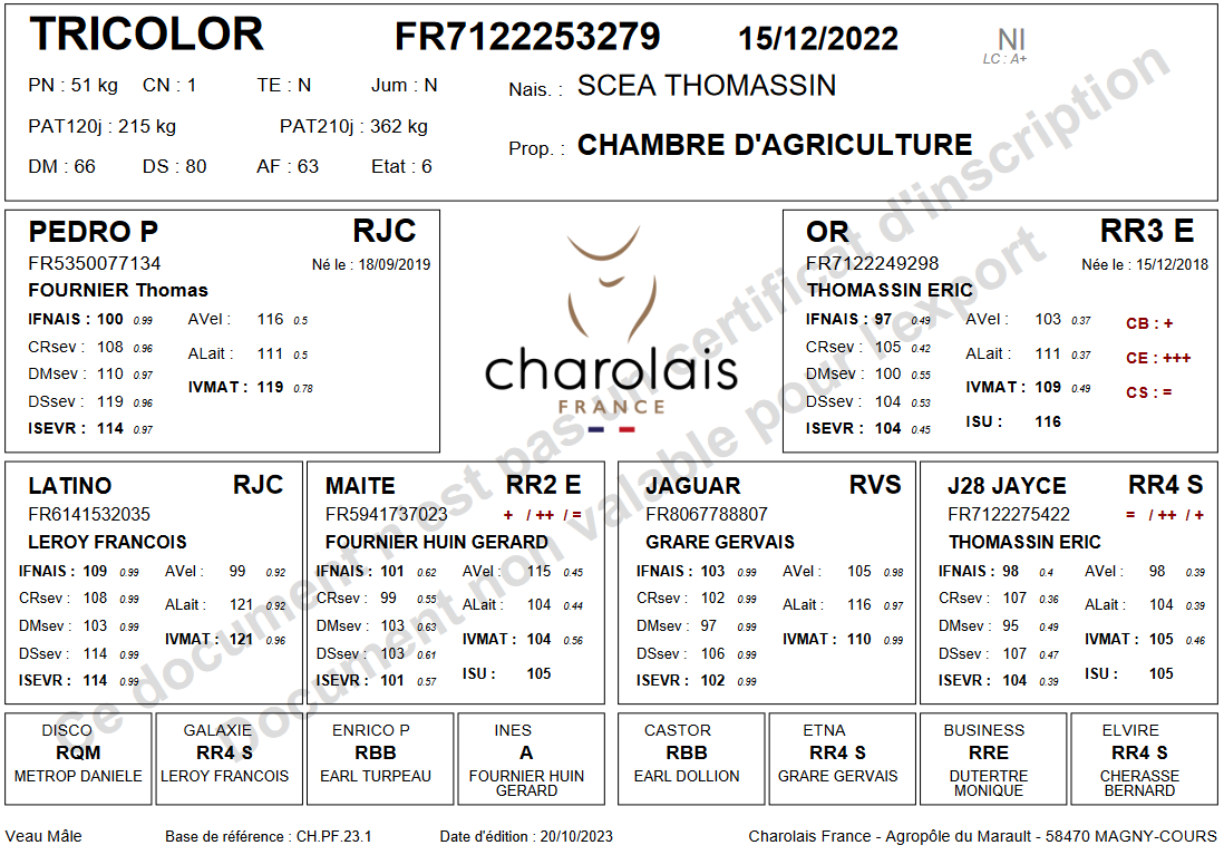 genealogie taureau charolais TRICOLOR