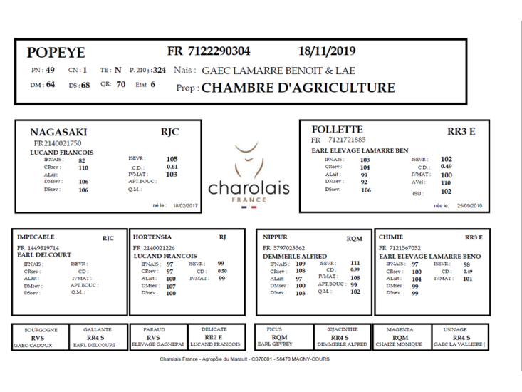 genealogie taureau charolais POPEYE