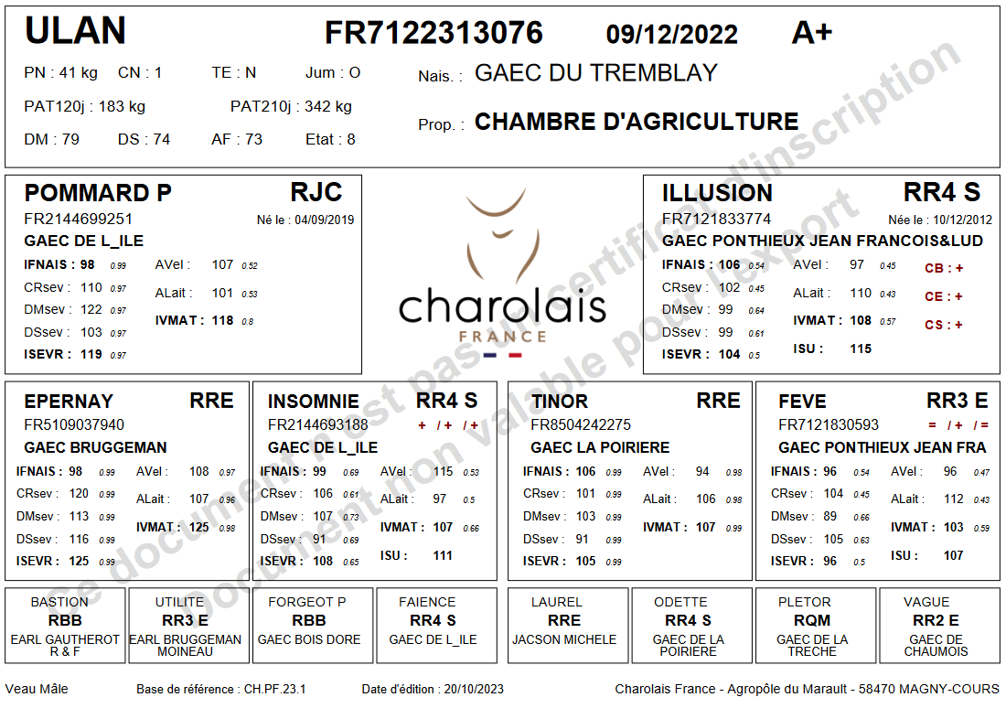 genealogie taureau charolais ULAN