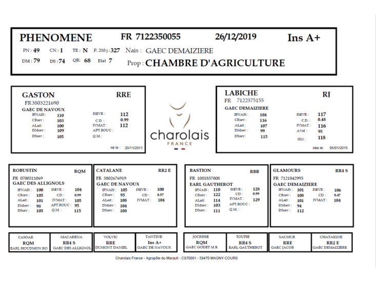 genealogie taureau charolais PHENOMENE