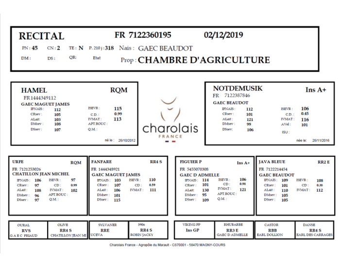 genealogie taureau charolais RECITAL