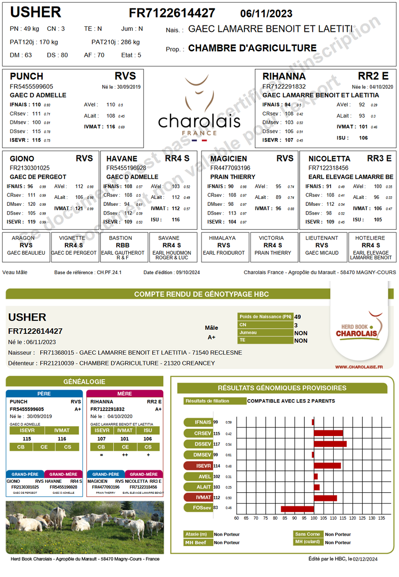 genealogie taureau charolais USHER