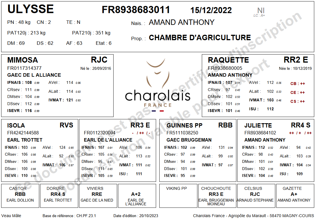 genealogie taureau charolais ULYSSE