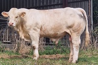 VAUBAN