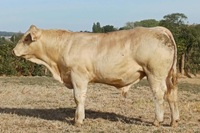 ABI