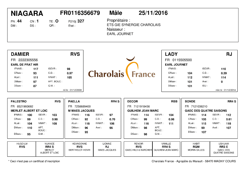 genealogie taureau charolais NIAGARA