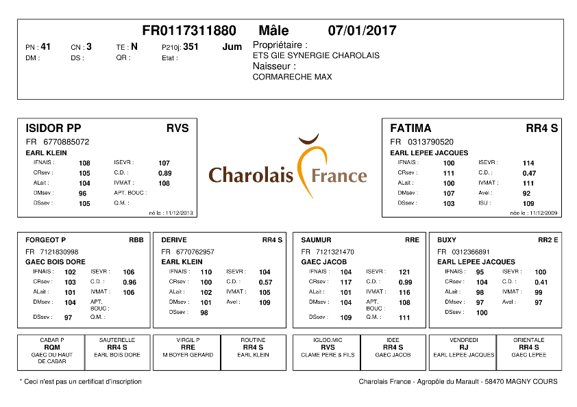 genealogie taureau charolais NOUNOURS