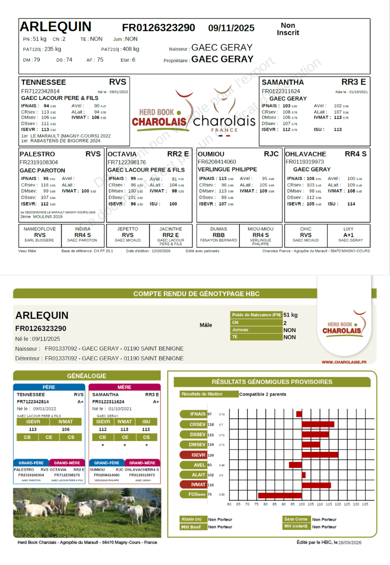 genealogie taureau charolais ARLEQUIN  