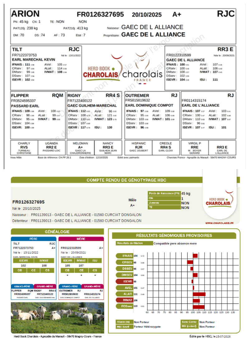 genealogie taureau charolais ARION     