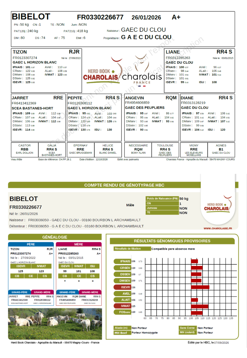 genealogie taureau charolais BIBELOT   
