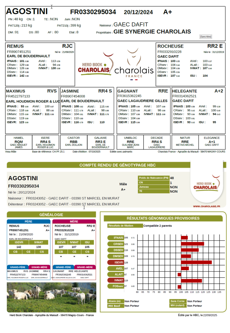 genealogie taureau charolais AGOSTINI