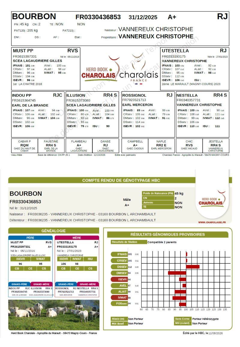 genealogie taureau charolais BOURBON   