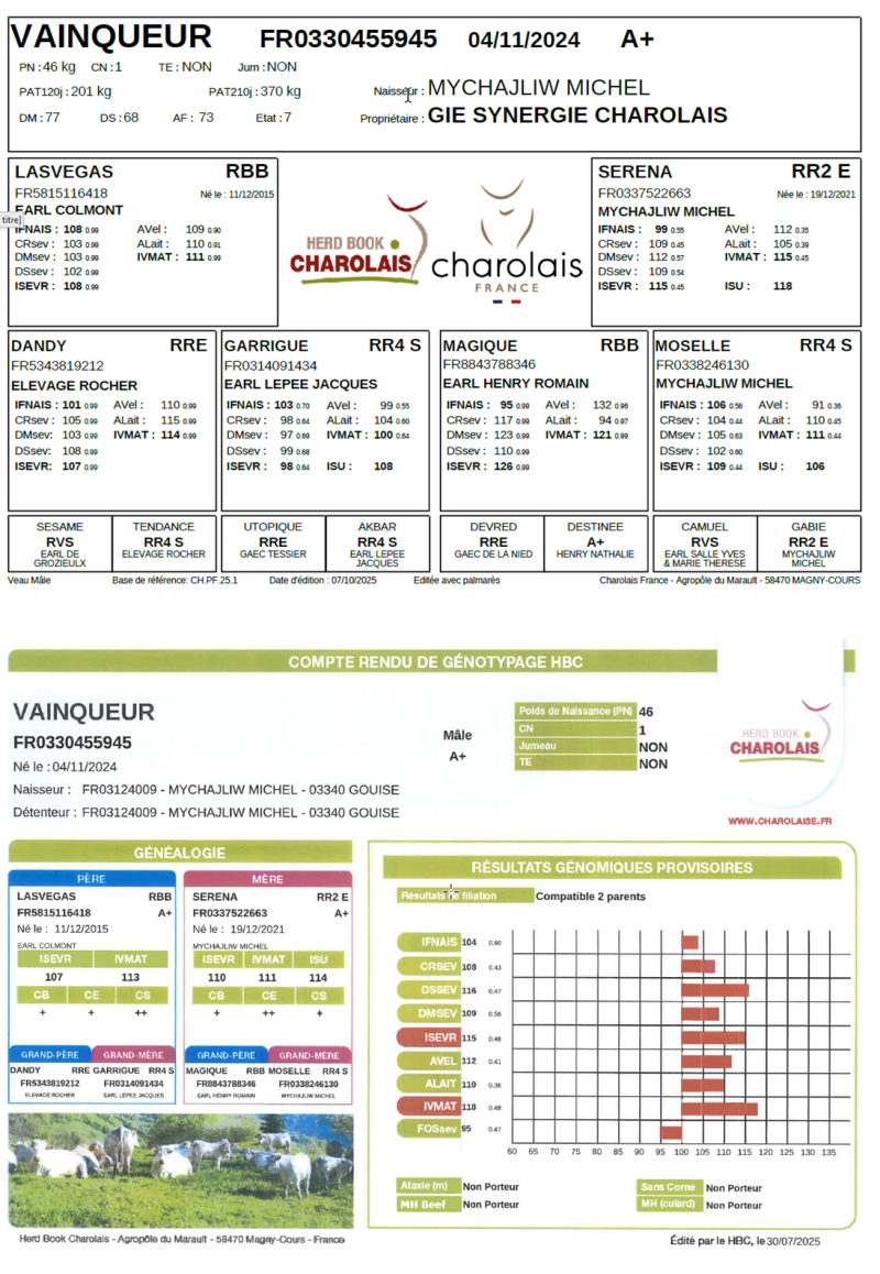 genealogie taureau charolais VAINQUEUR