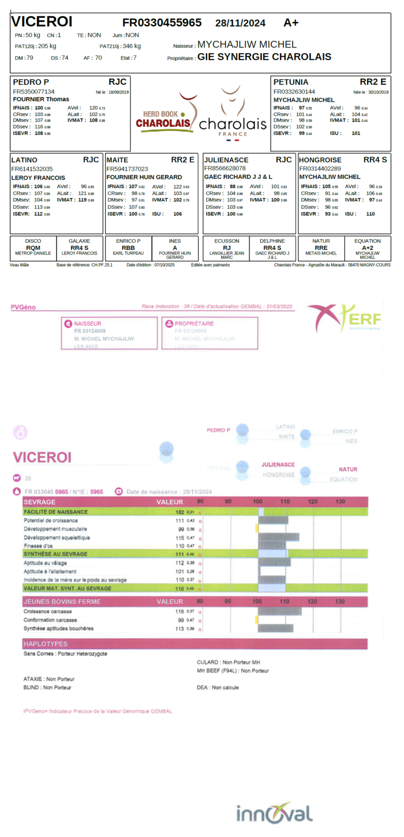 genealogie taureau charolais VICEROI