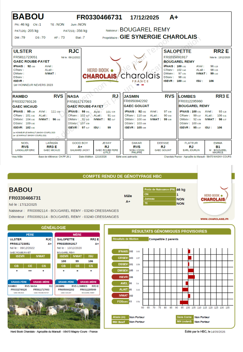genealogie taureau charolais BABOU     