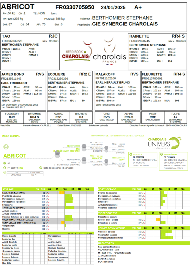 genealogie taureau charolais ABRICOT
