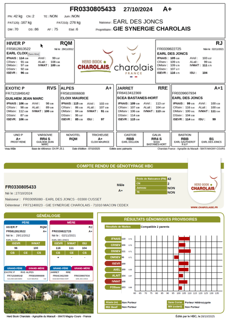 genealogie taureau charolais VICTOR 